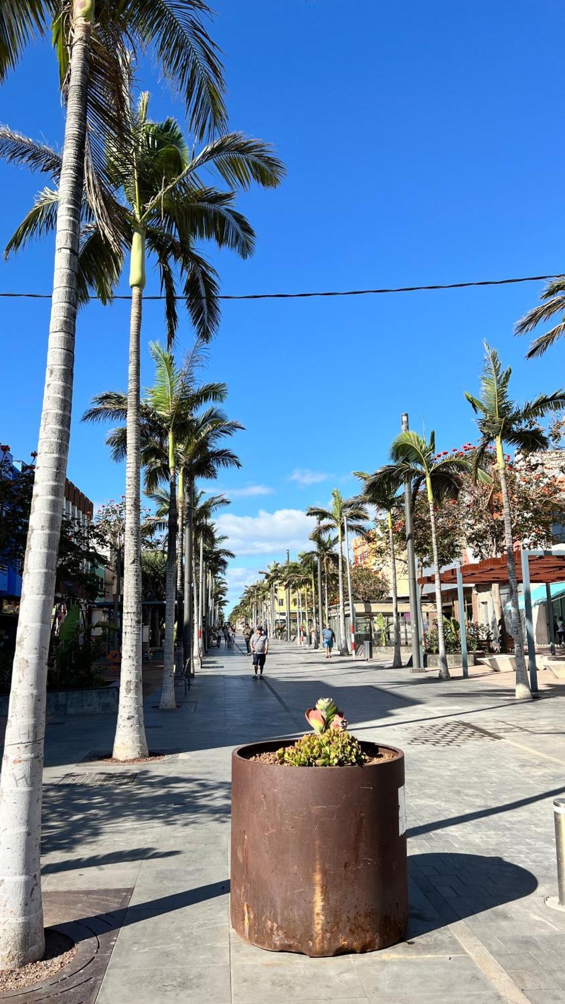Mirame Canarias Vecindario  Exterior foto